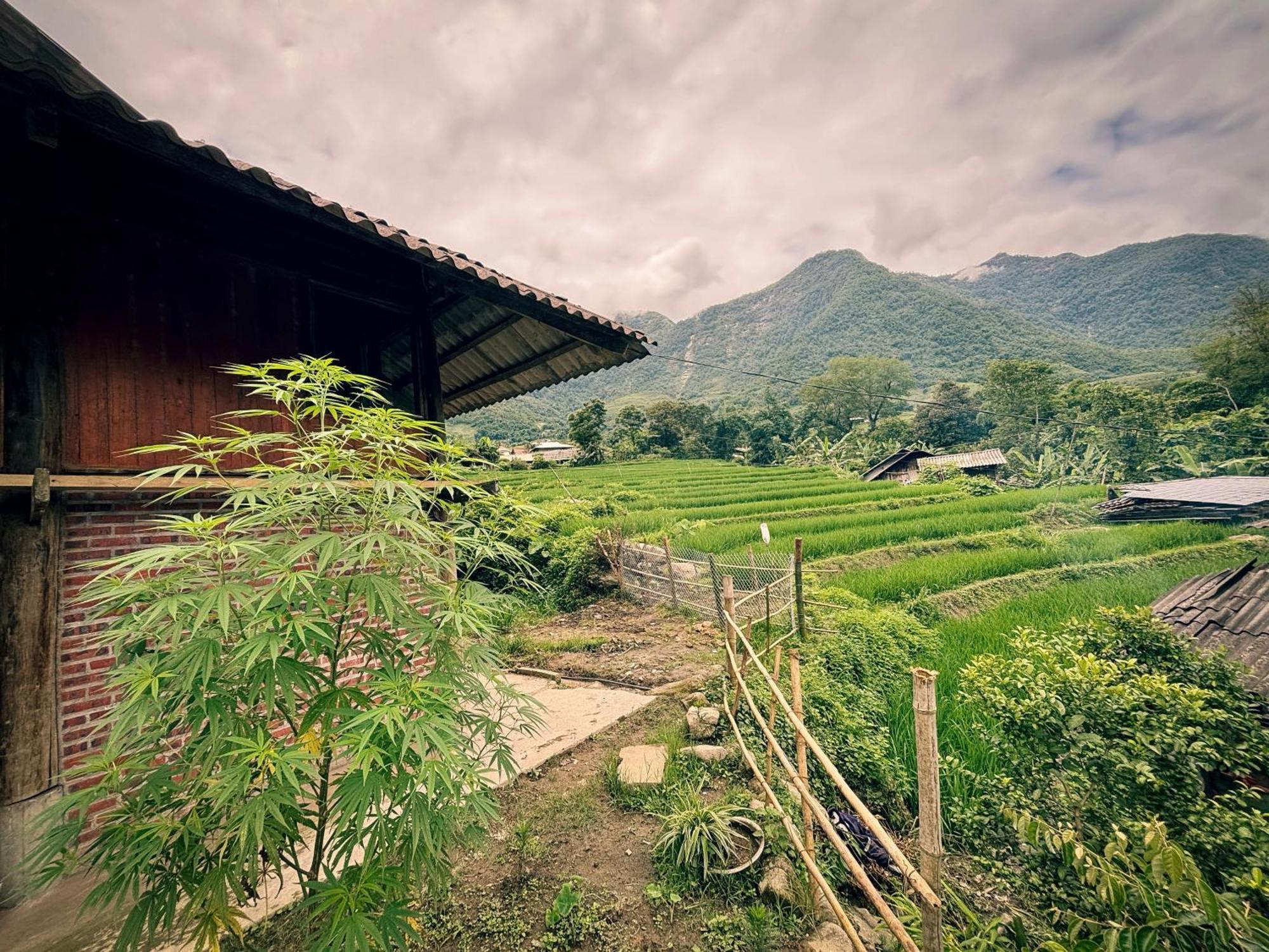 Apartamento Sapa Tranquilla Exterior foto